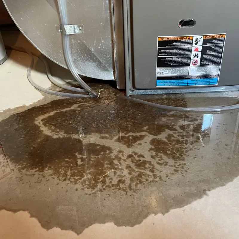 Pipe Burst and Leak Restoration in Amherst, NY